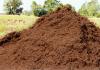 Manure as fertilizer: how to apply and process different types of manure (cow, horse, pig, goat, chicken)